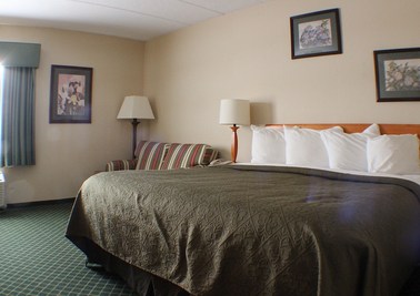 Handicapped King Room