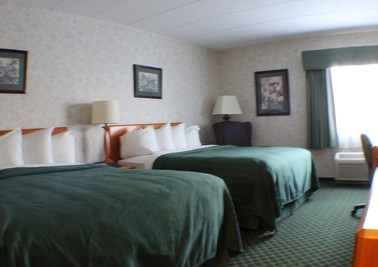 Dog-Friendly Two Queen Room